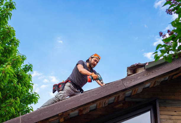 Best Sheet Metal Roofing  in Piru, CA